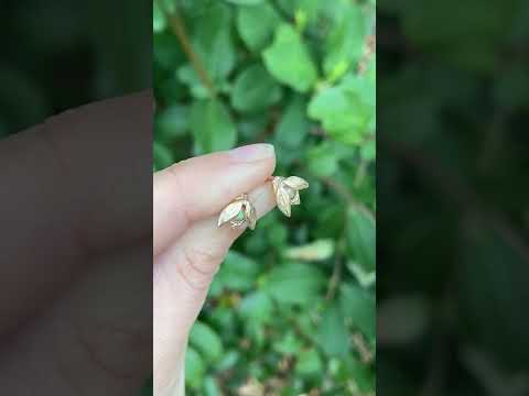 Myth and Stone Alida Opal bug studs in gold video
