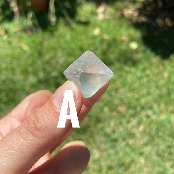 Myth and Stone Fluorite Octahedron "A"