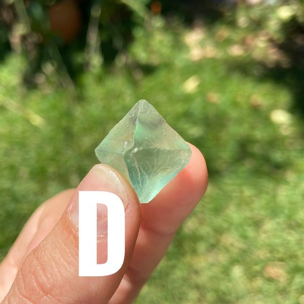 Myth and Stone Fluorite Octahedron "D"